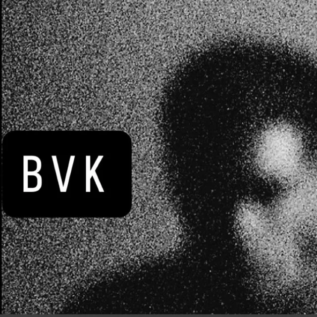 BVK cover art